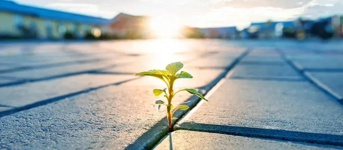 Resilience-meets-opportunity